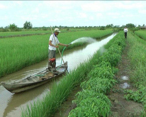 Bersandar pada tenaga rakyat dalam pembangunan pedesaan baru di kabupaten Phuoc Long, provinsi Bac Lieu - ảnh 2