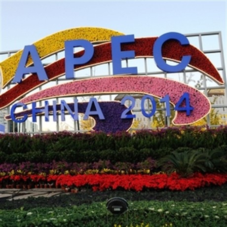 Terus mengembangkan peranan sebagai anggota aktif APEC - ảnh 1
