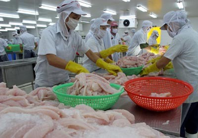 Vietnam tidak melakukan dumping terhadap komoditas hasil perikanan ekspor - ảnh 1