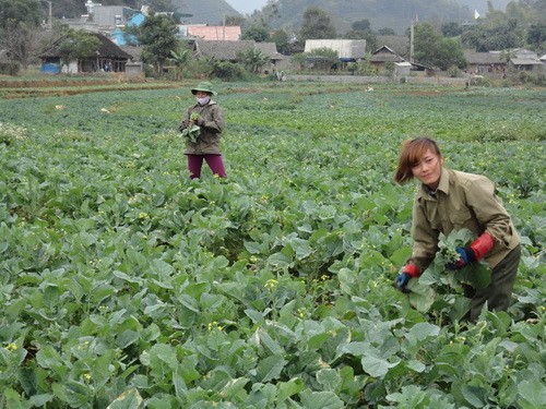 Kecamatan San Thang, provinsi Lai Chau mengatasi kesulitan untuk membangun pedesaan baru - ảnh 2