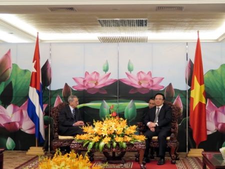 Kepala Departeman Hubungan Luar Negeri KS PKV, Hoang Binh Quan menerima delegasi Partai dan Negara Kuba - ảnh 1