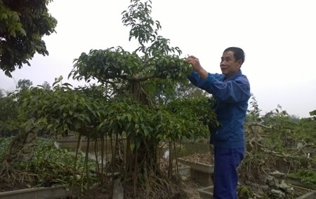 Kecamatan Khanh Thien-Daerah pertama di provinsi Ninh Binh yang mencapai patokan pembangunan pedesaan baru - ảnh 1