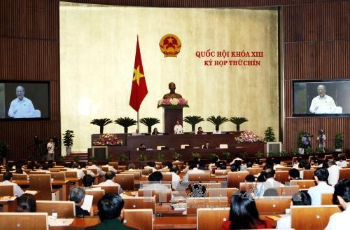 Selar-selar pada Persidangan ke-9 Majelis Nasional Vietnam angkatan ke-13 - ảnh 1