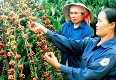 WB membantu pembaruan pertanian dan pendidikan Vietnam - ảnh 1