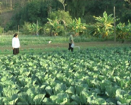 Menciptakan kebulatan pendapat dalam membangun pedesaan baru di provinsi pegunungan Ha Giang - ảnh 2