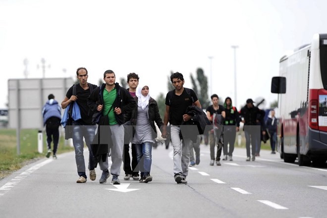 Jerman, Austria dan Swedia mengimbau persatuan Eropa dalam masalah migran - ảnh 1