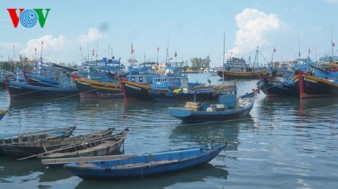 Provinsi Binh Thuan membantu kaum nelayan mengarungi dan merapati laut - ảnh 1