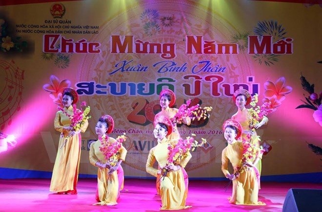 Aktivitas-aktivitas menyambut Hari Raya Tet di kalangan diaspora Vietnam di luar negeri - ảnh 1