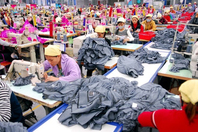Vietnam akan mencapai pertumbuhan ekonomi secara kuat karena ada TPP - ảnh 1