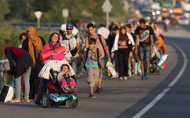 Austria memutuskan meninjau surat permintaan mengungsi di garis perbatasan - ảnh 1