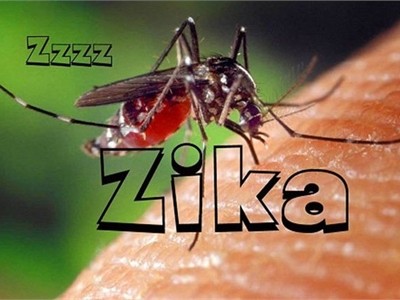 PBB membentuk Dana Mandat multi mitra untuk menghadapi Zika - ảnh 1