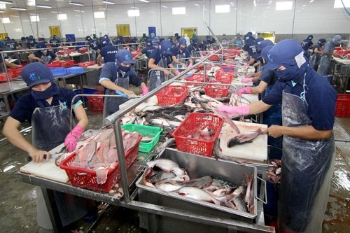 Senat AS mengesahkan resolusi mencabut program pengawasan ikan tak bersisik  terhadap Vietnam - ảnh 1