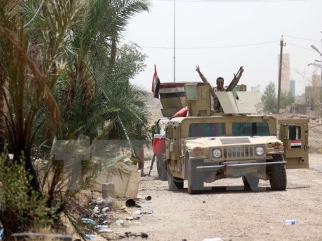 Irak: Pasukan-pasukan keamanan membebaskan lagi banyak daerah dari pendudukan  IS - ảnh 1