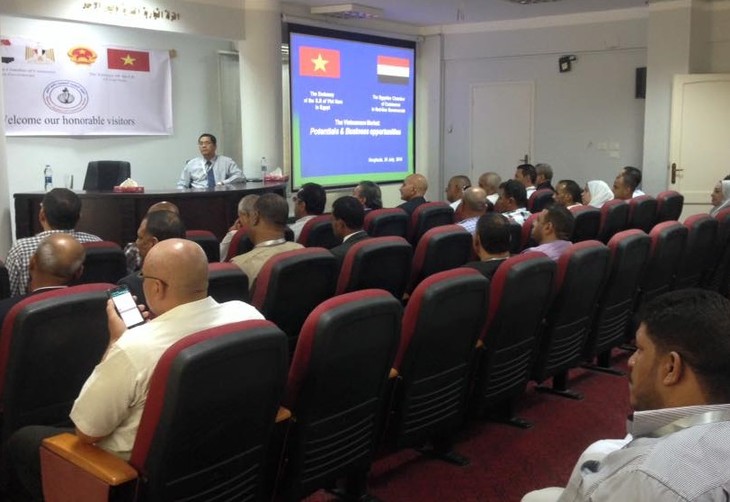 Badan-badan usaha Mesir ingin melakukan kerjasama bisnis dengan para mitra Vietnam - ảnh 1
