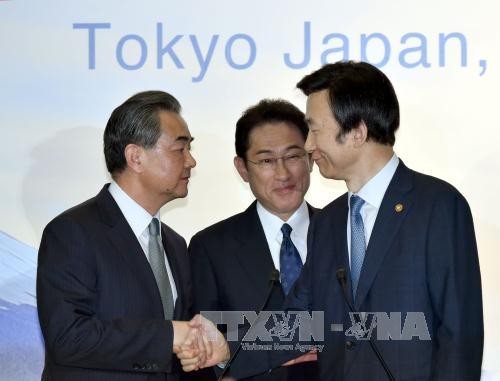 Hubungan Tiongkok-Jepang-Republik Korea: Kecenderungan kerjasama tetap dominan - ảnh 1