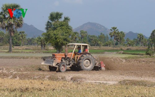 Daerah ekonomi titik berat daerah dataran rendah sungai Mekong mengembangkan ekonomi yang dikaitkan dengan usaha menghadapi perubahan iklim - ảnh 1