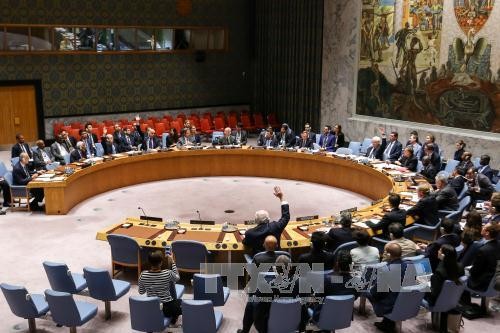 Dewan Keamanan PBB memperpanjang pekerjaan investigasi senjata kimia di Suriah - ảnh 1