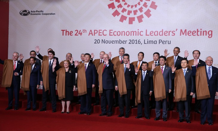 APEC 2017 menegaskan posisi Vietnam - ảnh 1