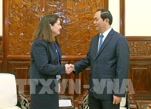 Presiden Tran Dai Quang menerima Kepala Pusat APEC Nasional  AS - ảnh 1