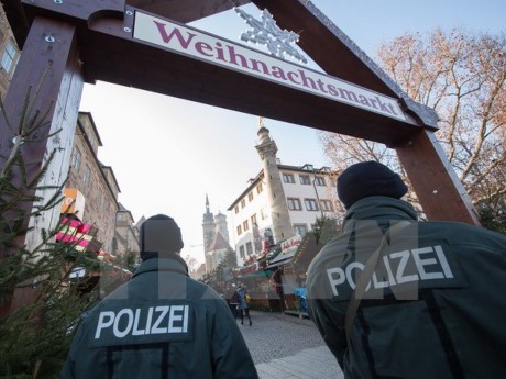 Jerman menangkap dua obyek dari kelompok-kelompok ekstrimis - ảnh 1