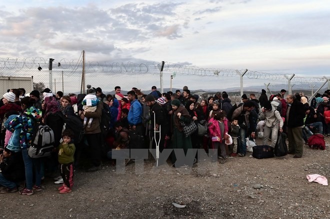 Kanada berkomitmen menerima pengungsi etnis minoritas Irak - ảnh 1