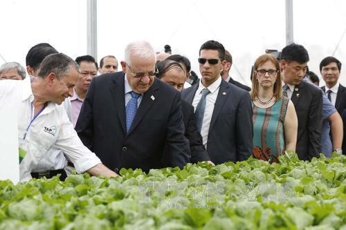 Presiden Israel dan Istri mengungjungi proyek investasi pertanian dengan penerapan teknologi tinggi  VinEco Tam Dao - ảnh 1