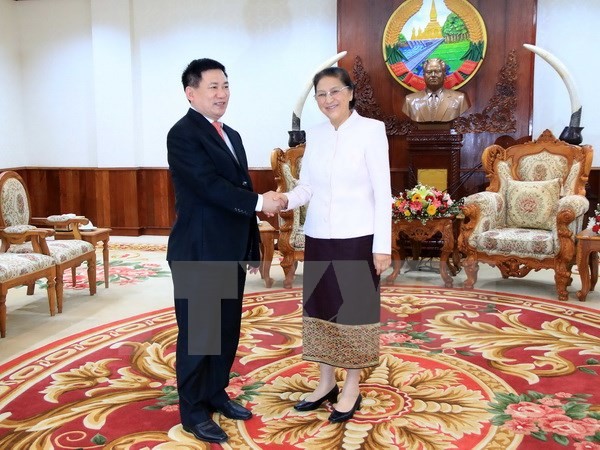 Pimpinan Parlemen dan Pemerintah Laos menilai tinggi bantuan yang diberikan oleh Auditing Vietnam - ảnh 1