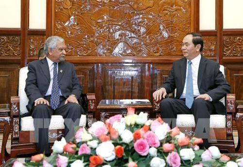 Presiden Tran Dai Quang menerima Koordinator Tetap PBB, Kepala Perwakilan UNDP di Vietnam - ảnh 1