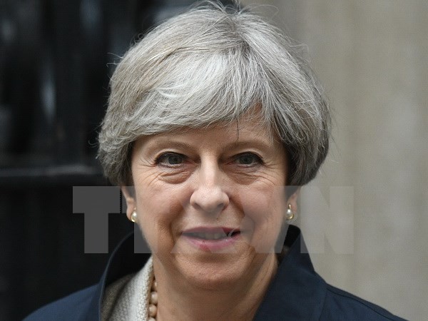 PM Inggris, Theresa May mengimbau dukungan dari partai-partai oposisi - ảnh 1