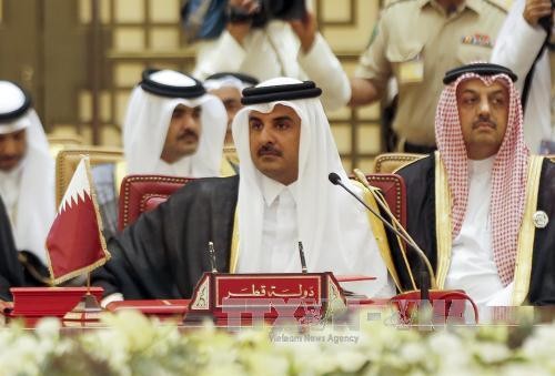 Qatar mengimbau pemecahan perselisihan melalui dialog - ảnh 1