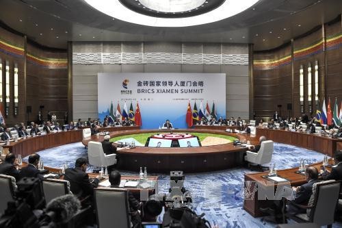 BRICS: penggalan jalan 16 tahun dan tangangan-tantangan di depan - ảnh 1