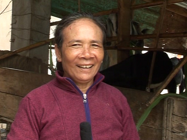 Ibu Le Thi Kim Loan, wanita yang mencapai kesejahteraan dari peternakan kambing - ảnh 1
