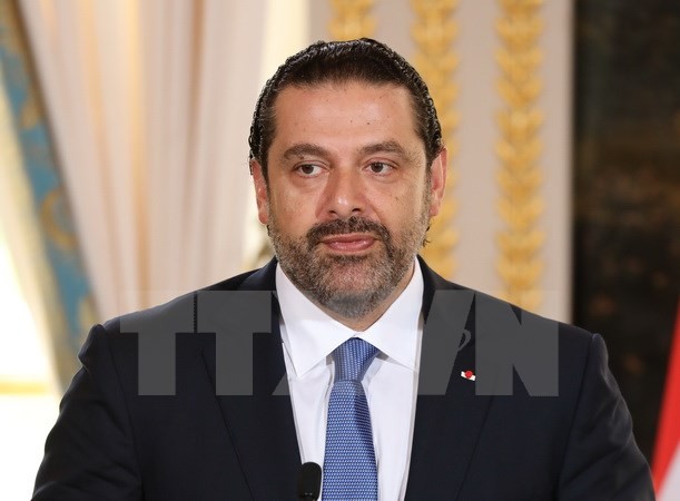 Uni Eropa mendukung Libanon menstabilkan tanah air setelah krisis politik - ảnh 1