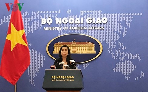 Vietnam menyambut baik upaya-upaya perdamaian jangka-panjang di Semenanjung Korea - ảnh 1