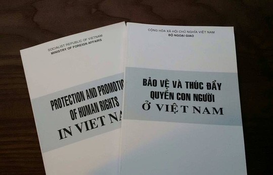 Buku Putih menegaskan pembelaan dan pendorongan HAM di Vietnam - ảnh 1