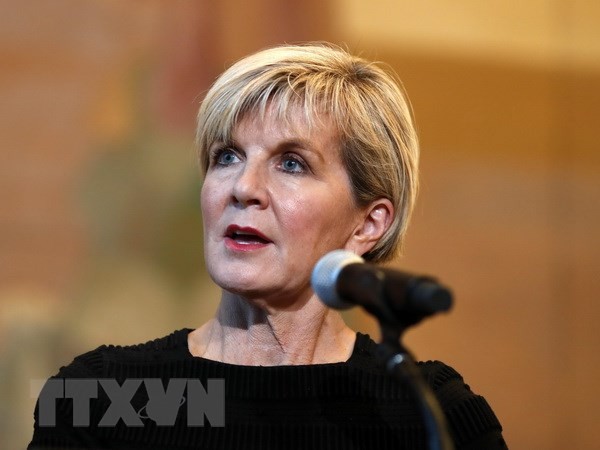 Australia ingin memperluas lebih lanjut lagi hubungan-hubungan kerjasama dengan Viet Nam - ảnh 1