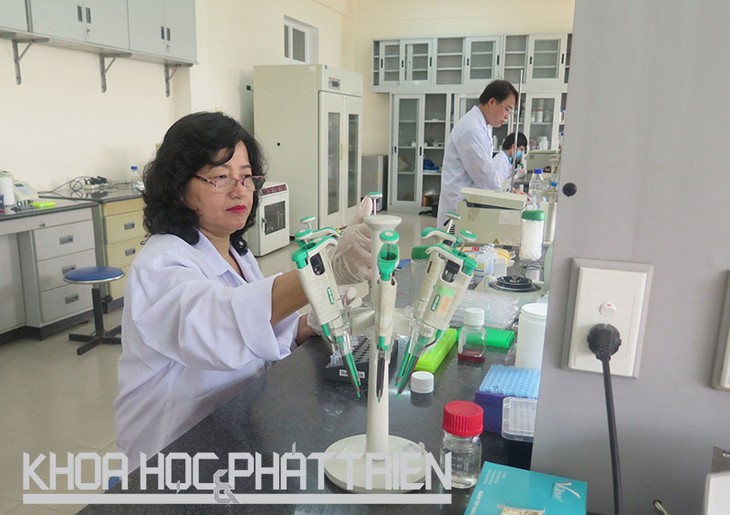 Dinh Thi Bich Lan- Ilmuwan wanita yang gandrung  melakukan penelitian dan kerja kreatif - ảnh 1