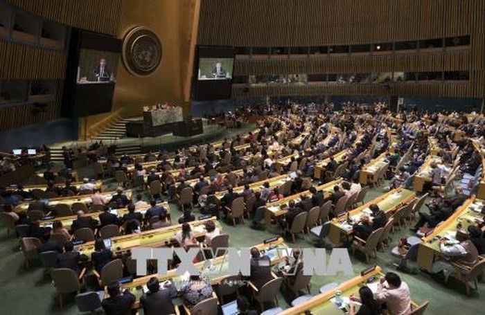 Majelis Umum PBB menyetujui traktat global tentang imigrasi - ảnh 1