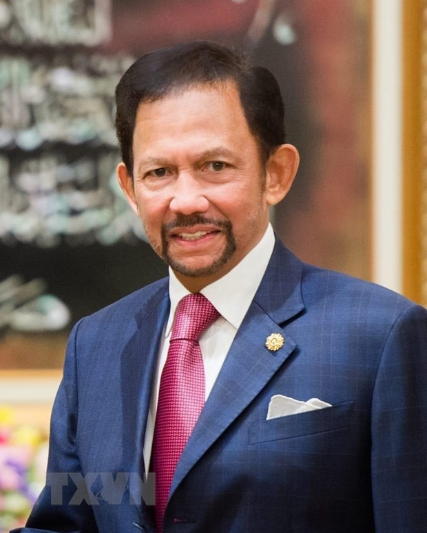 Viet Nam dan Brunei Darussalam memperkuat kerjasama di semua bidang - ảnh 1