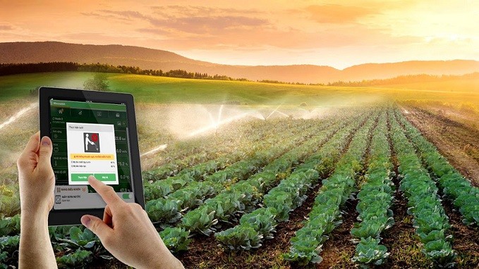 Memperkuat penerapan ilmu pengetahuan dan teknologi dalam mengembangkan pertanian - ảnh 1