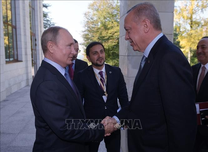 Presiden Bashar al-Assad mendukung permufakatan Rusia-Turki tentang Suriah - ảnh 1