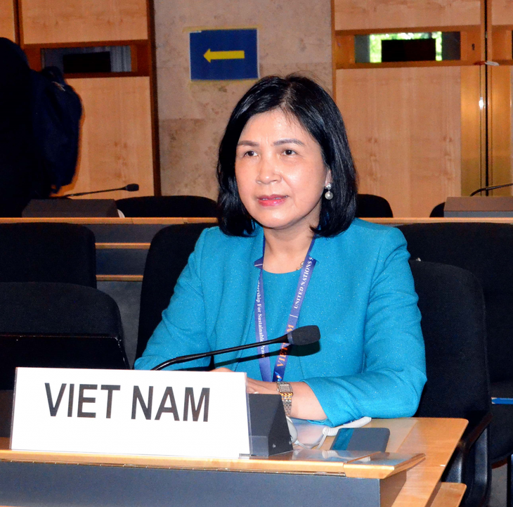 Viet Nam Memrioritaskan Mendorong Hak Manusia bagi Kelompok yang Rentan - ảnh 1