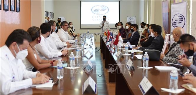 ASEAN Dorong Hubungan Dagang dan Investasi dengan Negara Bagian Veracruz dari Meksiko - ảnh 1