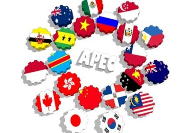APEC Ciptakan Fondasi Baru bagi Pembangunan di Kawasan Asia-Pasifik - ảnh 1
