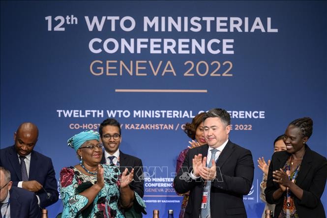 WTO Capai Konsensus tentang Paket Kesepakatan Perdagangan Bersejarah - ảnh 1