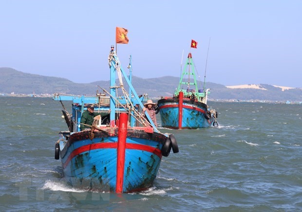 Perkuat Sistem Pengawasan Kapal Ikan untuk Mencegah dan Menangani Eksploitasi Tidak Sesuai Ketentuan - ảnh 1