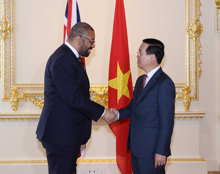 Presiden Vo Van Thuong menerima para pemimpin Inggris, Kuba dan Singapura - ảnh 1