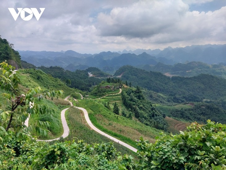 Mengembalikan Warna Hijau kepada Daerah Tinggi Berbatu Ha Giang - ảnh 1