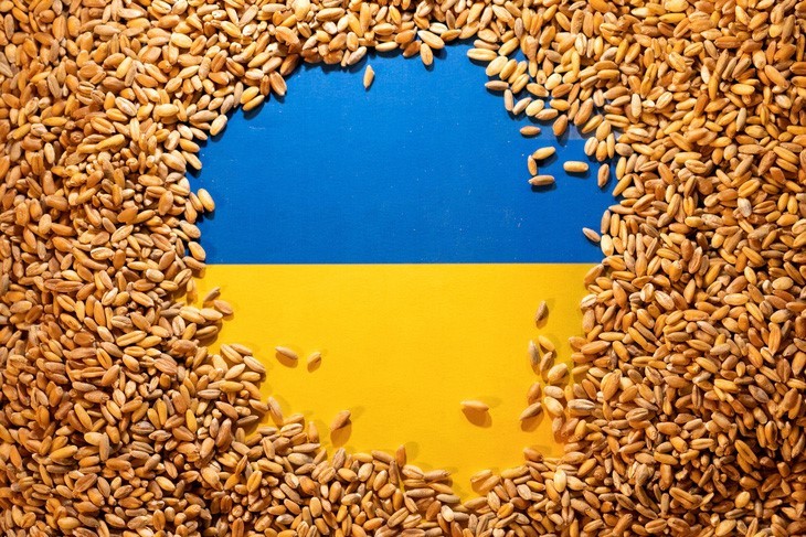 Uni Eropa Tidak Memperpanjang Larangan Impor Biji-bijian Ukraina - ảnh 1