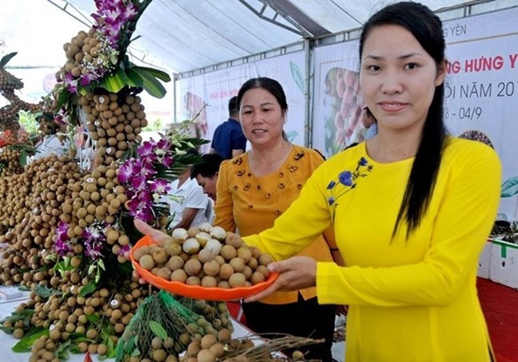 Provinsi Hung Yen Membangun Merek untuk Produk OCOP Provinsinya - ảnh 1